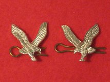 ARMY AIR CORPS AAC MILITARY COLLAR BADGES