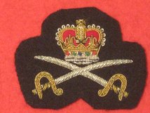 ARMY PHYSICAL TRAINING INSTRUCTOR OFFICERS BERET BADGE