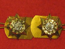 PRINCE OF WALES OWN YORKSHIRE REGIMENT MILITARY COLLAR BADGES