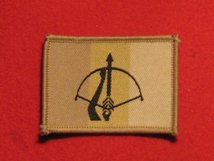 TACTICAL RECOGNITION FLASH BADGE 16 JOINT AIR DEFENCE BOWMAN BUFF TRF BADGE