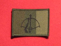 TACTICAL RECOGNITION FLASH BADGE 16 JOINT AIR DEFENCE BOWMAN GREEN TRF BADGE