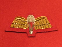 MESS DRESS PARACHUTE WINGS PARA WINGS GOLD ON RED BADGE