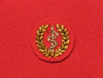 MESS DRESS MEDIC GOLD ON RED BADGE