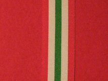 FULL SIZE ITALY STAR MEDAL RIBBON 