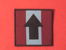 DROP ZONE BADGE THE PATHFINDERS TRF BADGE