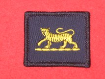 TACTICAL RECOGNITION FLASH BADGE PWRR TIGER TRF BADGE