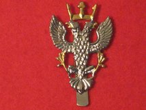 MERCIAN REGIMENT CAP BADGE