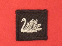 TACTICAL RECOGNITION FLASH BADGE 30TH SIGNALS REGIMENT TRF BADGE