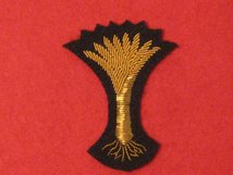 WELSH GUARDS OFFICERS BERET BADGE 2 INCH LEEK BERET BADGE