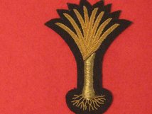 WELSH GUARDS OFFICERS BADGE 3 INCH LEEK FORAGE CAP BADGE