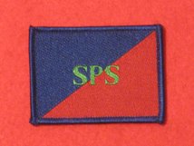 TACTICAL RECOGNITION FLASH BADGE SPS TRF BADGE