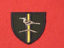 TACTICAL RECOGNITION FLASH BADGE JUNGLE WARFARE TRAINING SCHOOL TRF BADGE