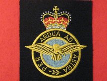 ROYAL AIR FORCE RAF BLAZER BADGE
