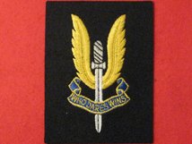 SPECIAL AIR SERVICE SAS BLAZER BADGE