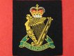 Royal Irish Regiment