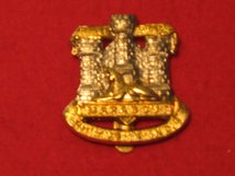 DEVON & DORSETSHIRE CAP BADGE