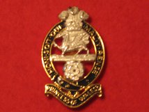 PRINCESS OF WALES ROYAL REGIMENT POWRR PWRR CAP BADGE