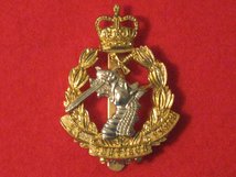 ROYAL ARMY DENTAL CORPS ANODISED CAP BADGE