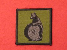 TACTICAL RECOGNITION FLASH BADGE 10TH SIGNAL REGIMENT BLACK BEAR ON OLIVE TRF BADGE