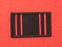 TACTICAL RECOGNITION FLASH BADGE ARMY PHYSICAL TRAINING CORPS APTC TRF BADGE