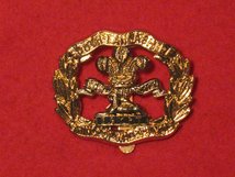 SOUTH LANCASHIRE REGIMENT CAP BADGE