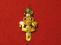 ROYAL ARMY EDUCATIONAL CORPS RAEC CAP BADGE QC