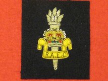 ROYAL ARMY EDUCATION CORPS RAEC OFFICERS BERET BADGE