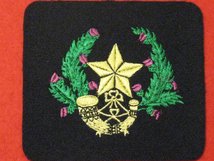 CAMERONIANS BLAZER BADGE