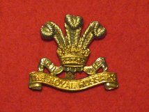 10TH ROYAL HUSSARS CAP BADGE