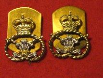 STAFFORDSHIRE REGIMENT MILITARY COLLAR BADGES