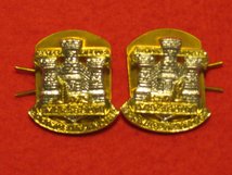 DEVON AND DORSETSHIRE MILITARY COLLAR BADGES