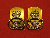 STAFFORDSHIRE REGIMENT COLLAR BADGES 