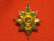 WORCESTERSHIRE AND SHERWOOD FORESTERS CAP BADGE