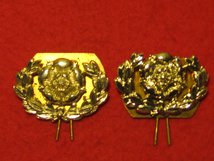 HAMPSHIRE REGIMENT MILITARY COLLAR BADGES