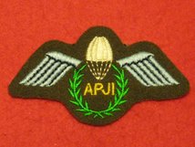 NUMBER 2 DRESS FAD APJI ARMY PARACHUTE JUMP INSTRUCTOR BADGE