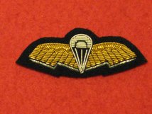 NUMBER 1 DRESS SPECIAL FORCES COMMUNICATOR BADGE GOLD ON BLACK