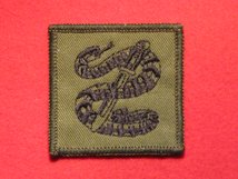 TACTICAL RECOGNITION FLASH BADGE 15 SQUADRON RAF BLACK SNAKE TRF BADGE