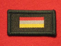 TACTICAL RECOGNITION FLASH BADGE SMALL ARMS SCHOOL CORPS SASC TRF BADGE OLD STYLE