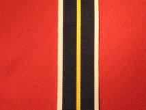 FULL SIZE ROYAL HUMANE SOCIETY MEDAL GOLD CENTRE SILVER EDGES MEDAL RIBBON