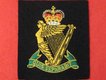 Irish Regiments