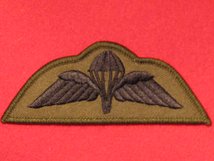 PARA WINGS SUBDUED GREEN BADGE