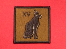 TACTICAL RECOGNITION FLASH BADGE 15TH SIGNAL REGIMENT TRF BADGE