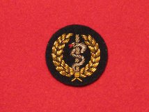 MESS DRESS MEDIC GOLD ON BLACK BADGE