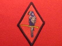 BRITISH ARMY 143 WEST MIDLANDS REGIMENT RED PARROT BADGE