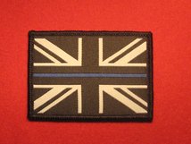 POLICE THIN BLUE LINE BADGE