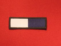 TACTICAL RECOGNITION FLASH BADGE ROYAL SIGNALS TRF BADGE