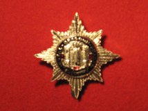 ROYAL DRAGOON GUARDS CAP BADGE.