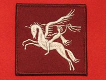 TACTICAL RECOGNITION FLASH BADGE PEGASUS TRF DZ BADGE SILVER WHITE ON MAROON