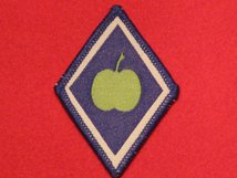 BRITISH ARMY NORTHERN COMMAND UK FORMATION BADGE APPLE WW2
