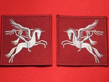 PAIR OF AIRBORNE DIVISION BADGES PEGASUS FORMATION DROP ZONE DZ BADGE LIGHT BLUE ON MAROON LEFT AND RIGHT FACING